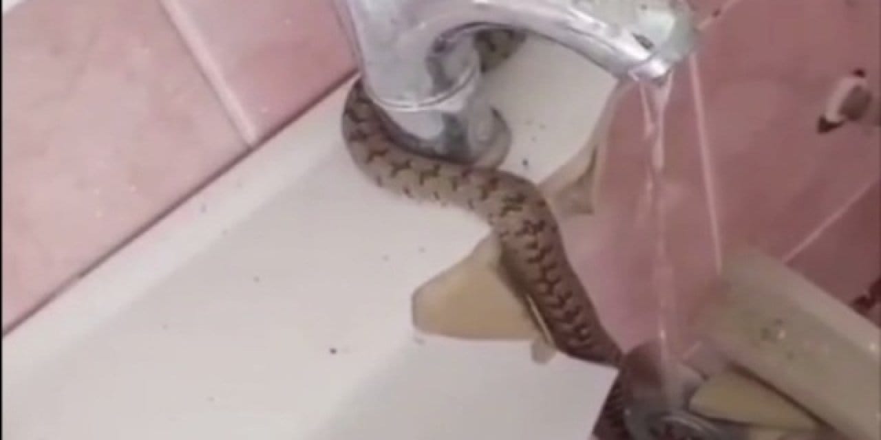 Lavaboda fark etti çekici kaptığı gibi müdahale etti