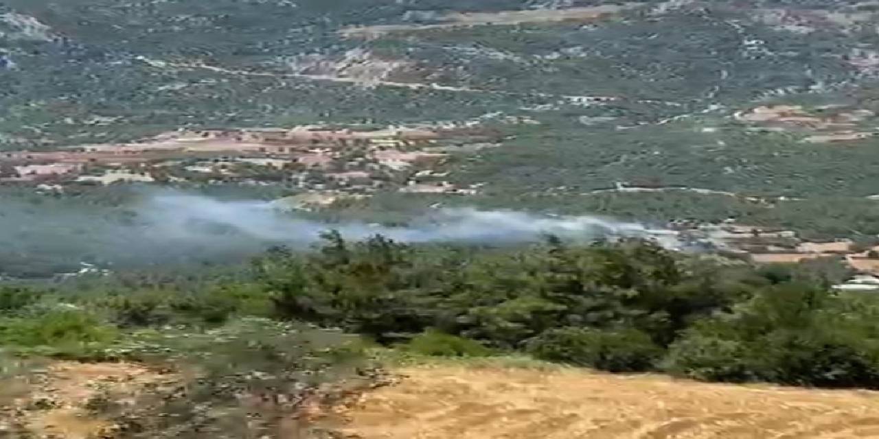 Adana'da da ormanlar alevlere teslim!