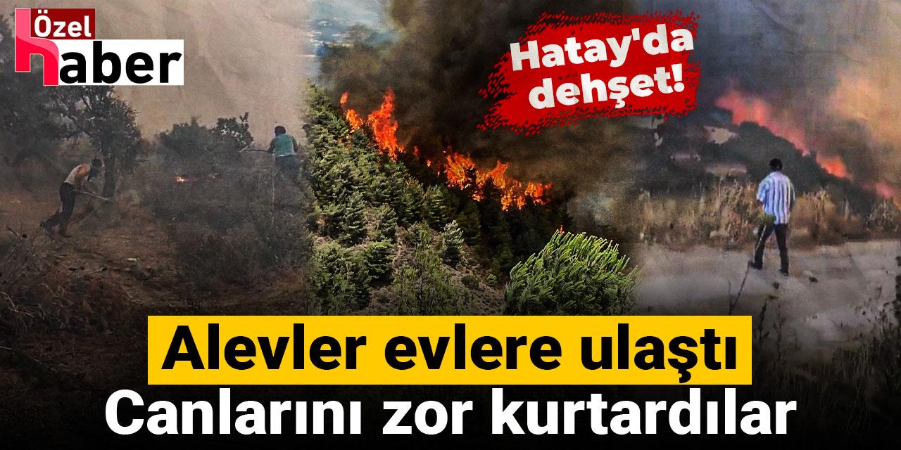 Son dakika | Hatay'da dehşet! Alevler evlere ulaştı, canlarını zor kurtardılar