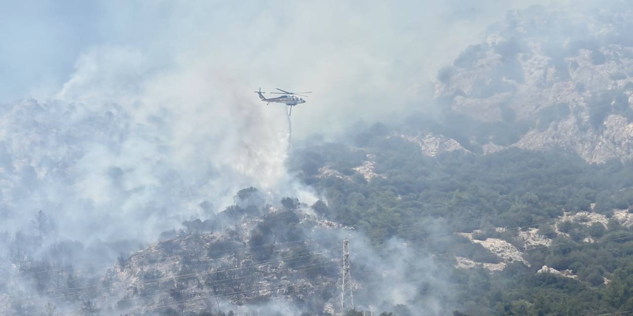 Bodrum ormanlarını da alevler sardı