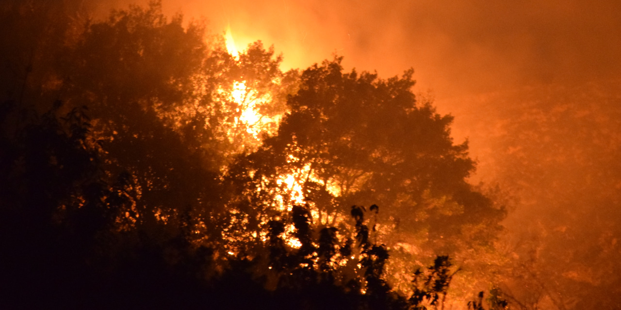 Manisa yanıyor! Bakan yangının nasıl çıktığını açıkladı
