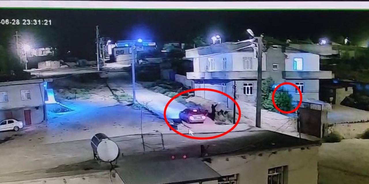 44 yaşındaki kadın husumetlileri tarafından öldürüldü