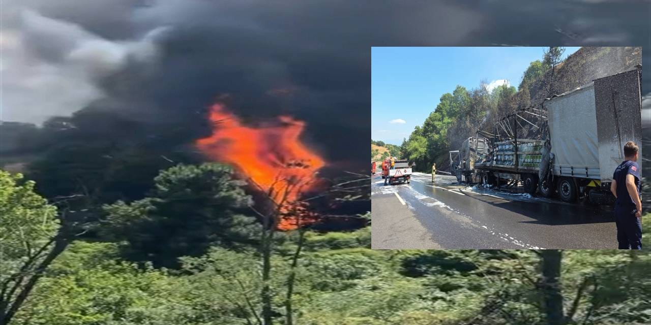 Bursa'da TIR'daki yangını ormana sıçradı