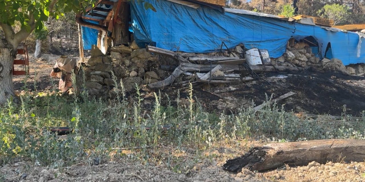 Yangın tarlaları küle çevirdi: Çiftçi yaşadıklarını anlattı