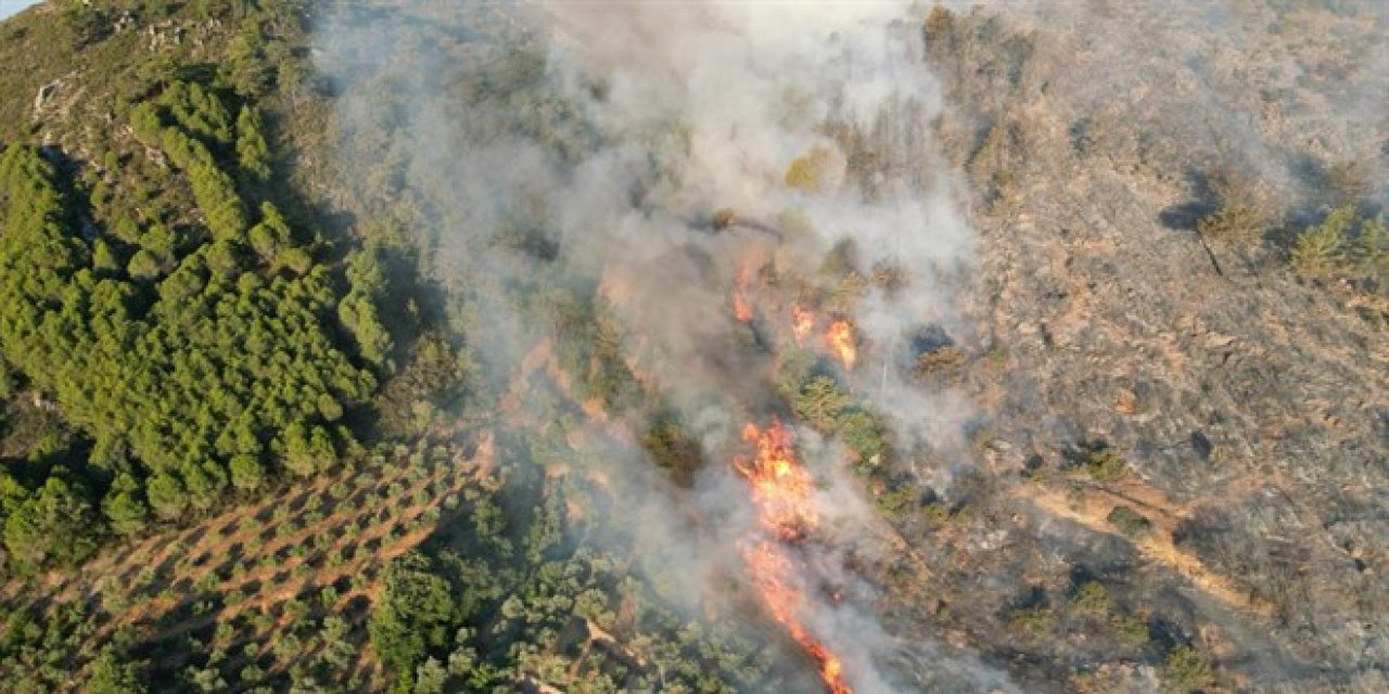 Çanakkale'de yangınlarla ilgili 26 kişi mercek altında