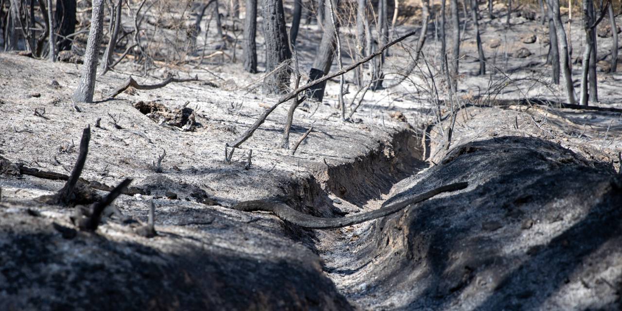 Sakarya'daki yangın ile ilgili gözaltılarda yeni gelişme!