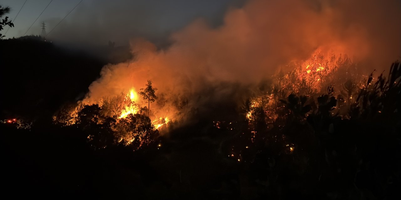 Bakan Yumaklı duyurdu: O yangın kontrol altında