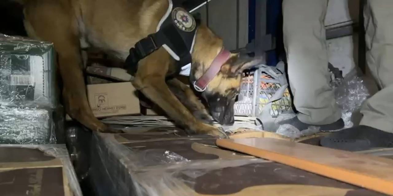 Narkotik köpeğiyle arama yapıldı: Kamyonetin kasasından 9 kilo kokain çıktı