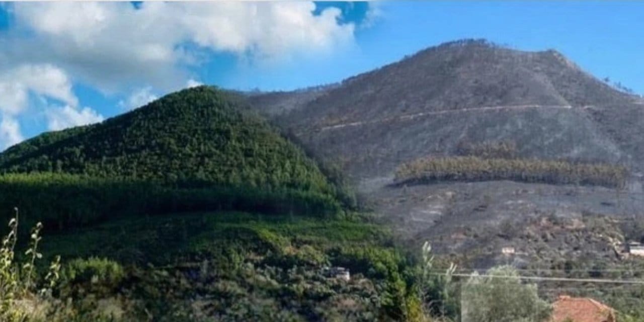 Yangın gitti arkasında enkazı kaldı: Her yer kül yığını