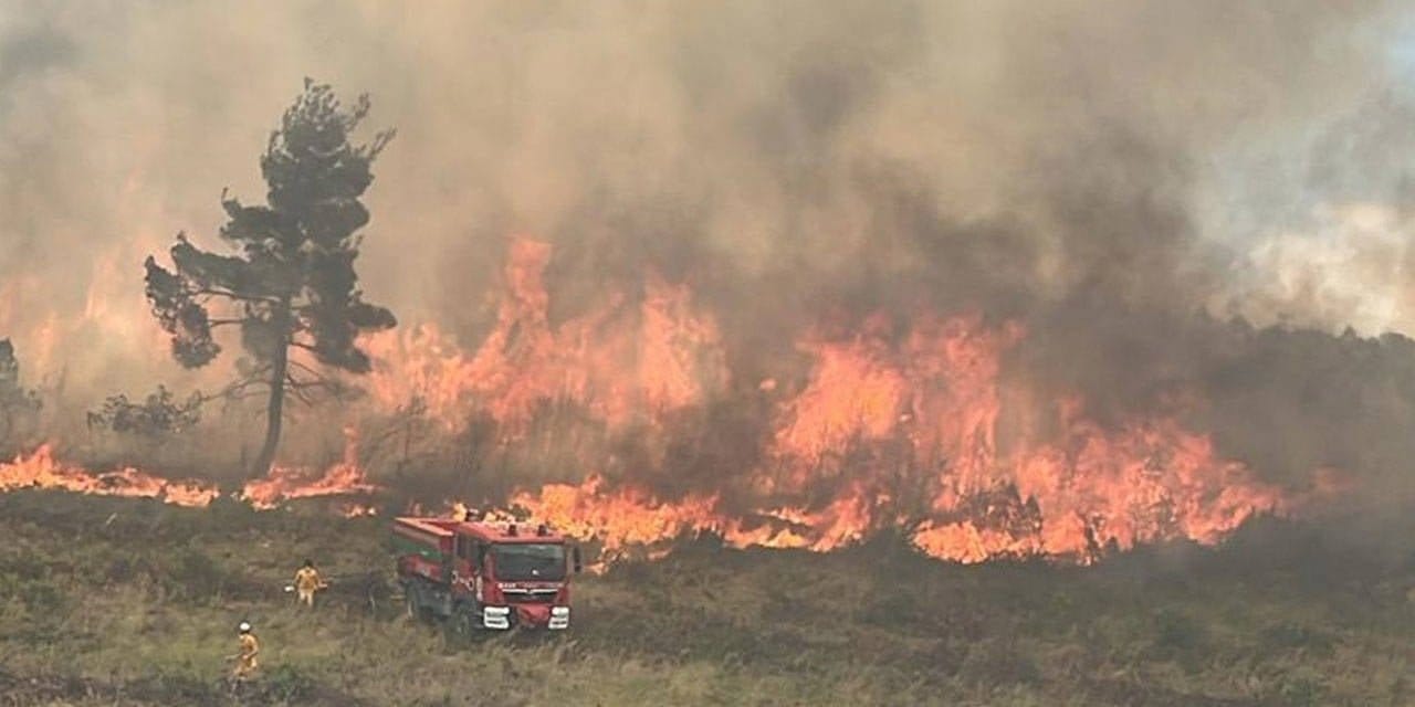 Bilecik'teki orman yangınında sevindiren haber