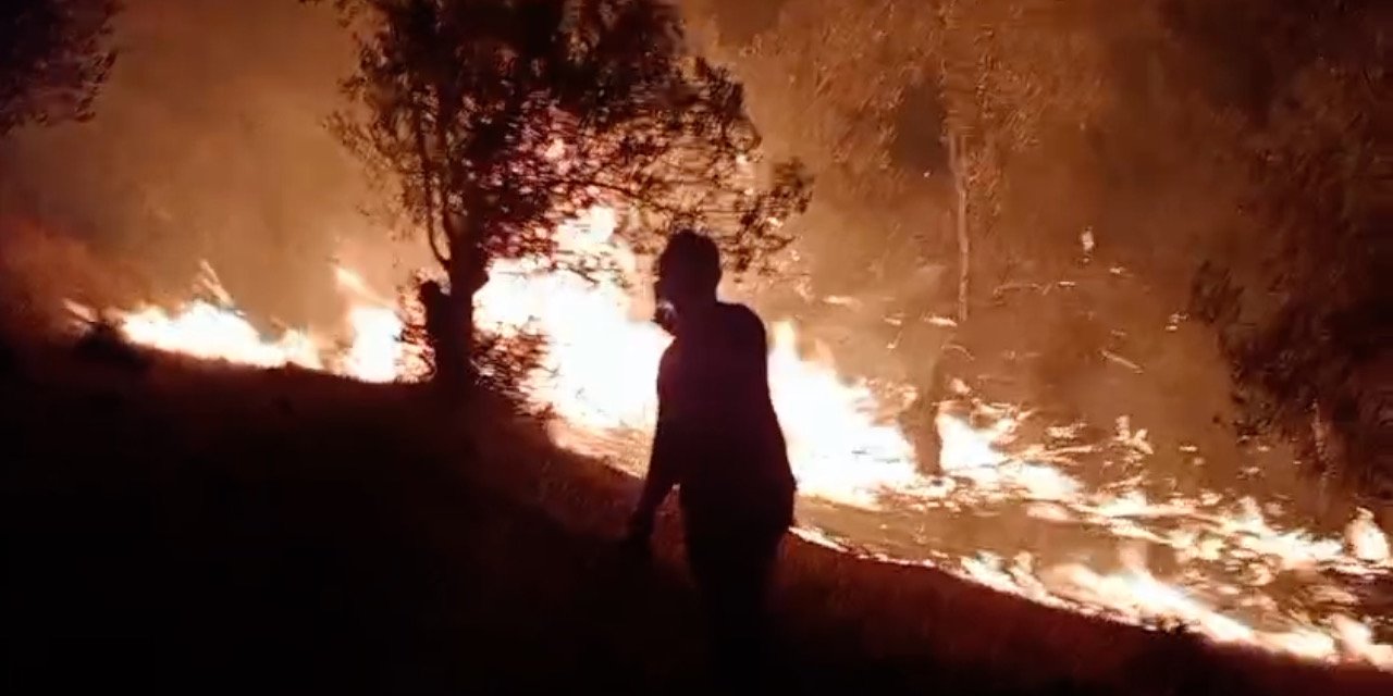 Balıkesir'deki zeytinlik yangınında yeni gelişme