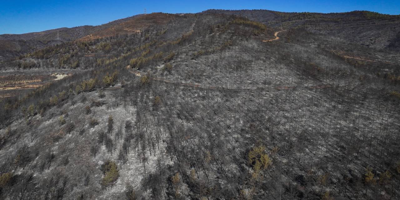 Hatay'ın ciğerleri kül oldu! Felaketin acı bilançosu havadan görüntülendi