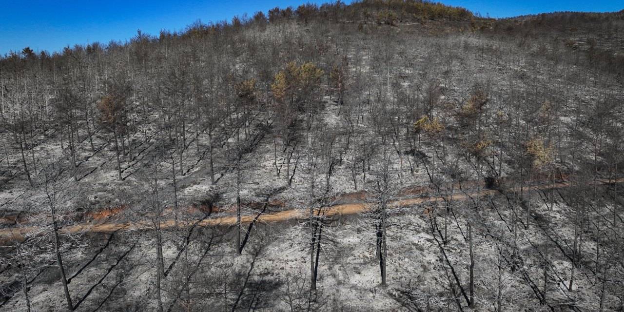 Altı ilçede yangınlar tamamen kontrol altında