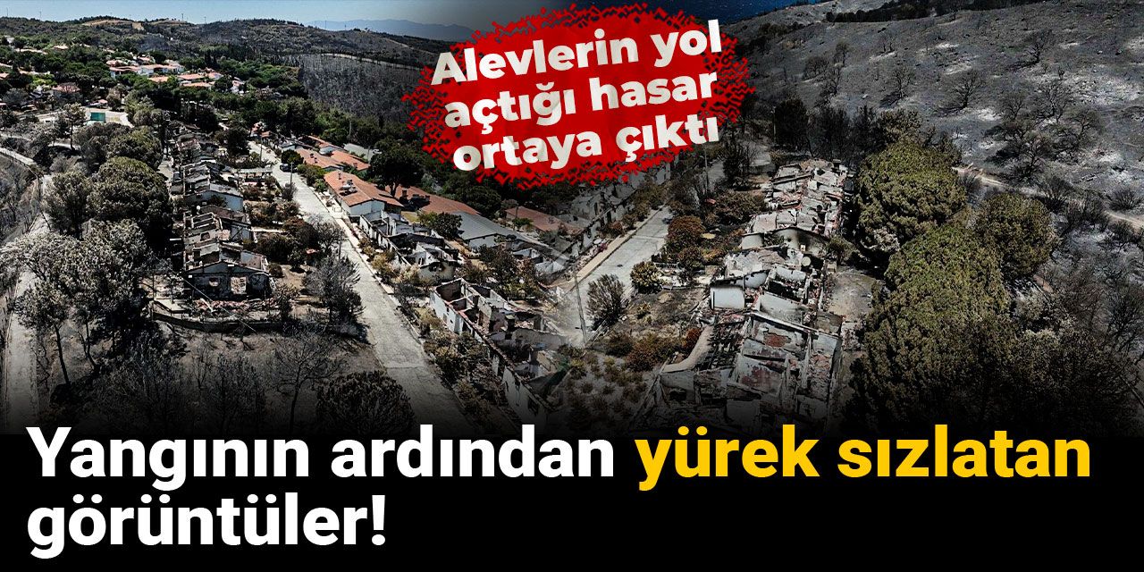 Yangının ardından yürek sızlatan görüntüler! Alevlerin yol açtığı hasar ortaya çıktı