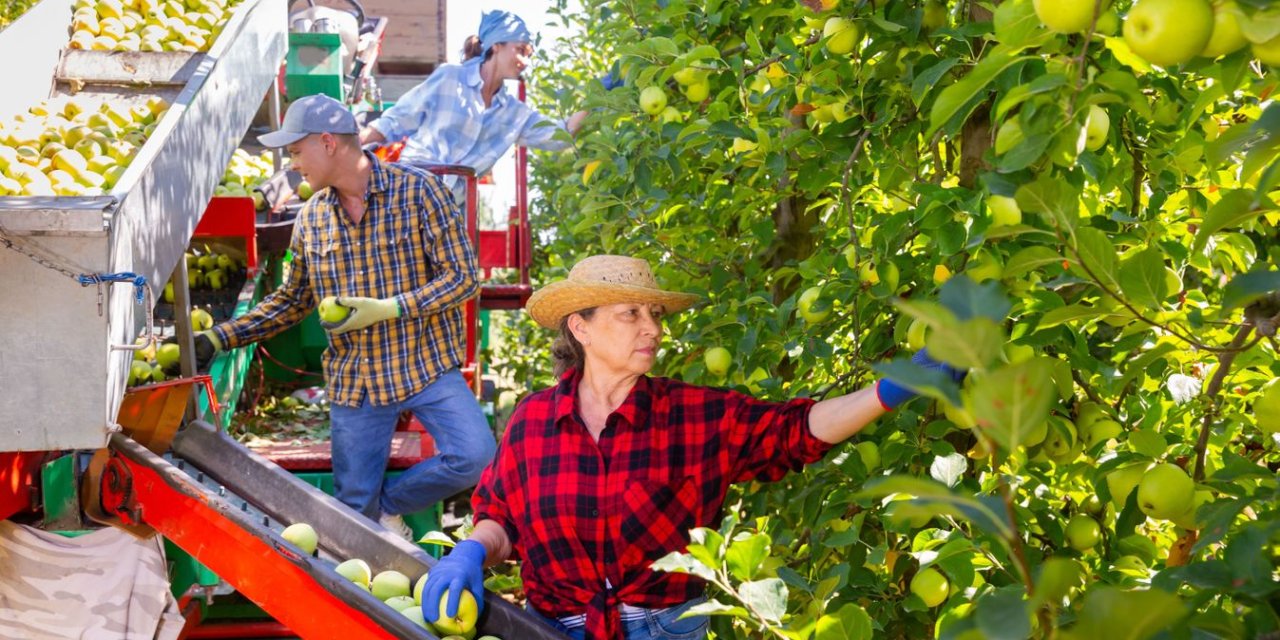 Polonya'nın tarımsal mucizesinin sırrı nedir?