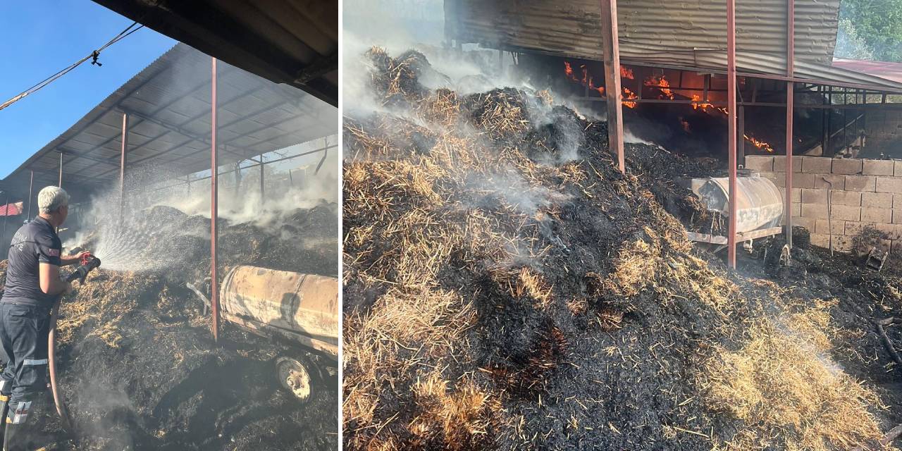 Adana'da felaket: Yangınında 5 inek öldü