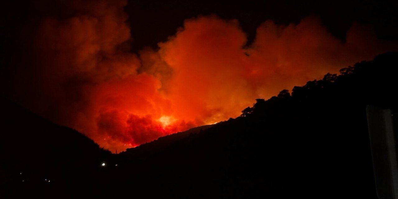 Ödemiş'te de orman yangını başladı