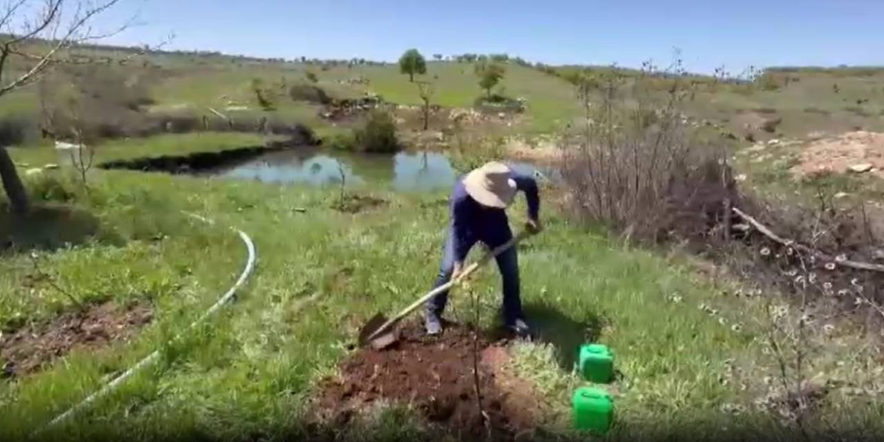 25 yıldır Diyarbakır'ın her yerine dikti: 10 yaşında başlamış