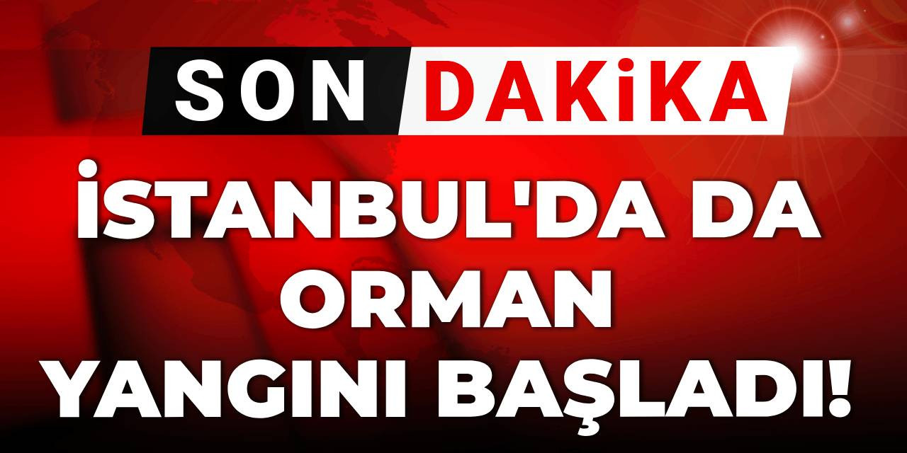 Son Dakika | İstanbul'da orman yangını