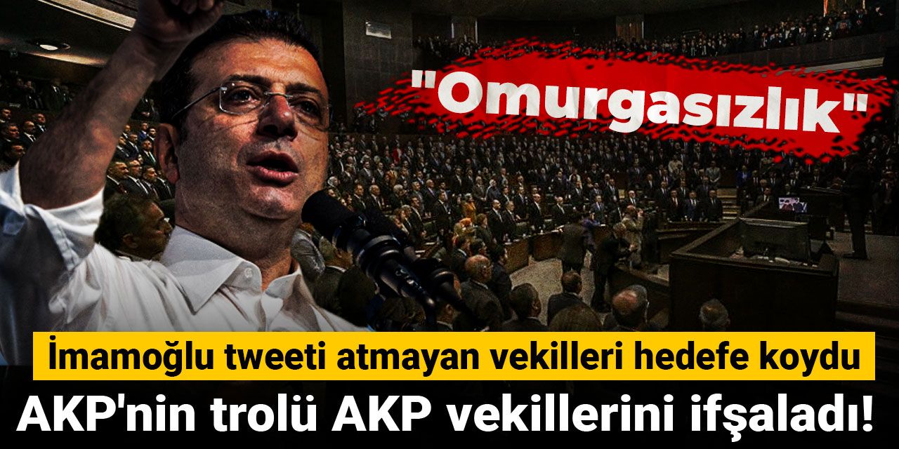 AKP'nin trolü AKP vekillerini ifşaladı! İmamoğlu tweeti atmayan vekilleri hedefe koydu
