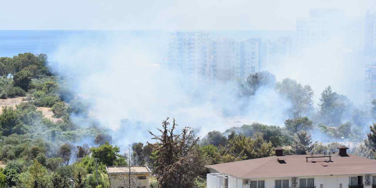 Antalya'daki yangın kontrol altına alındı