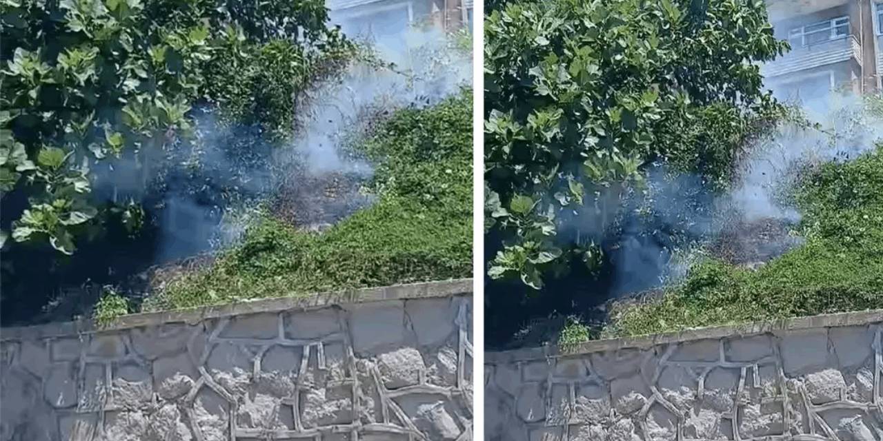 ​​​​​​​Zonguldak’ta karganın trajedisi yangın getirdi!