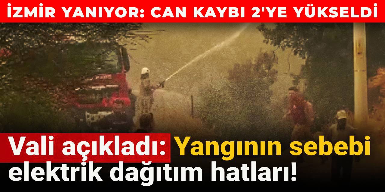 İzmir'deki orman yangınında bir kişi hayatını kaybetmişti: İzmir Valisi konuştu