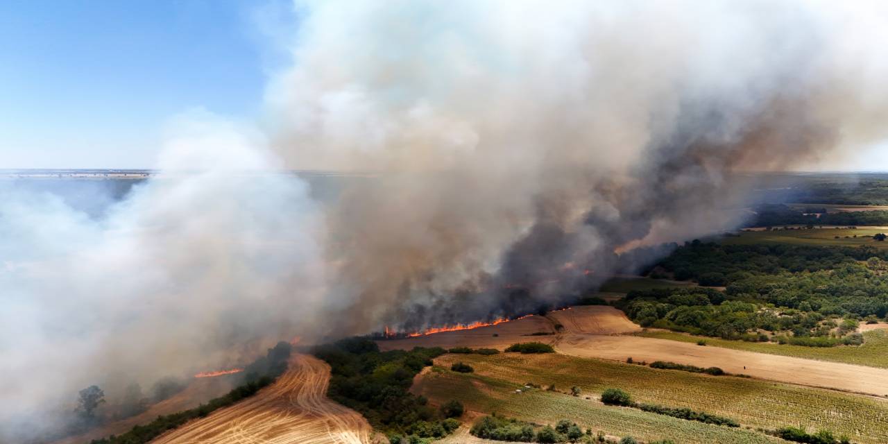 Ulaştırma Bakanı Uraloğlu'ndan orman yangınlarına ilişkin açıklama