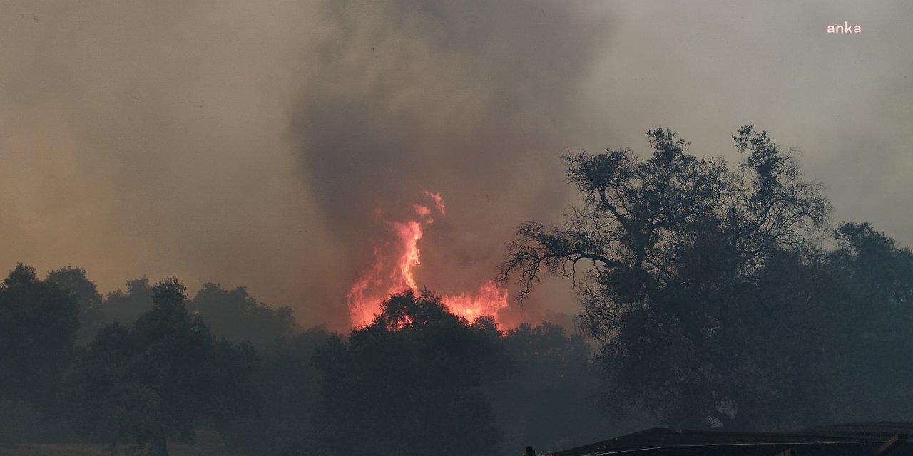 Cemil Tugay yangın bölgesinde: Kahrolarak izliyoruz