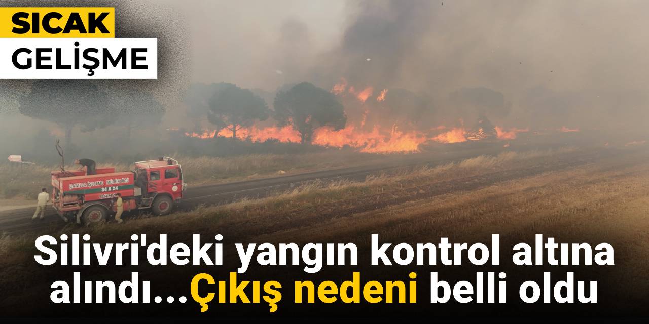 Silivri'de yangın ormanlık alana sıçradı!