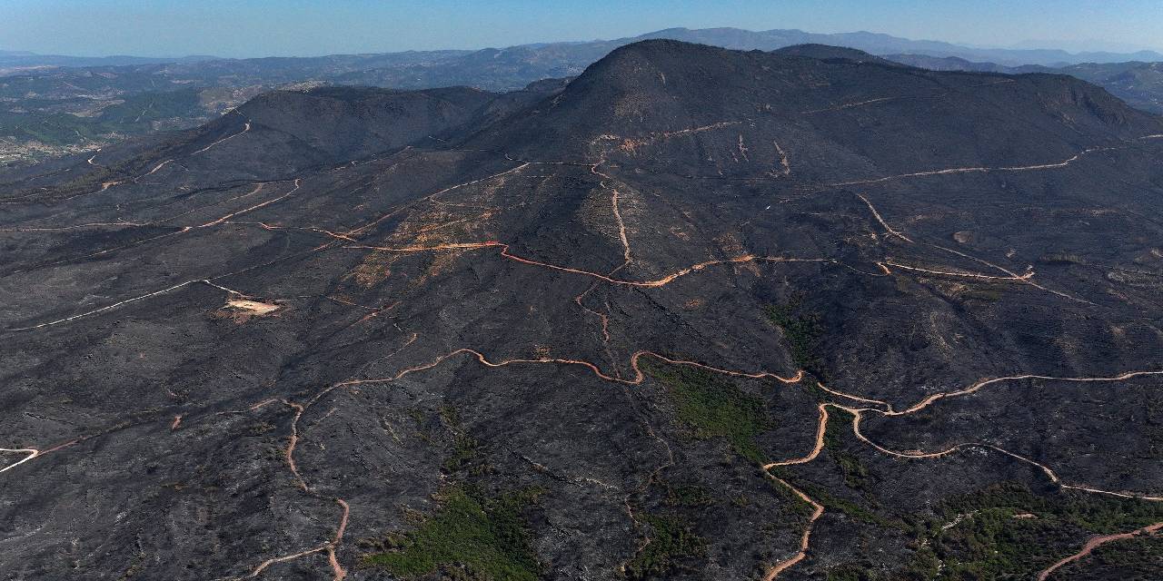 OGM yüreklere su serpti: Yangın tedbirlerini her yıl artırıyoruz