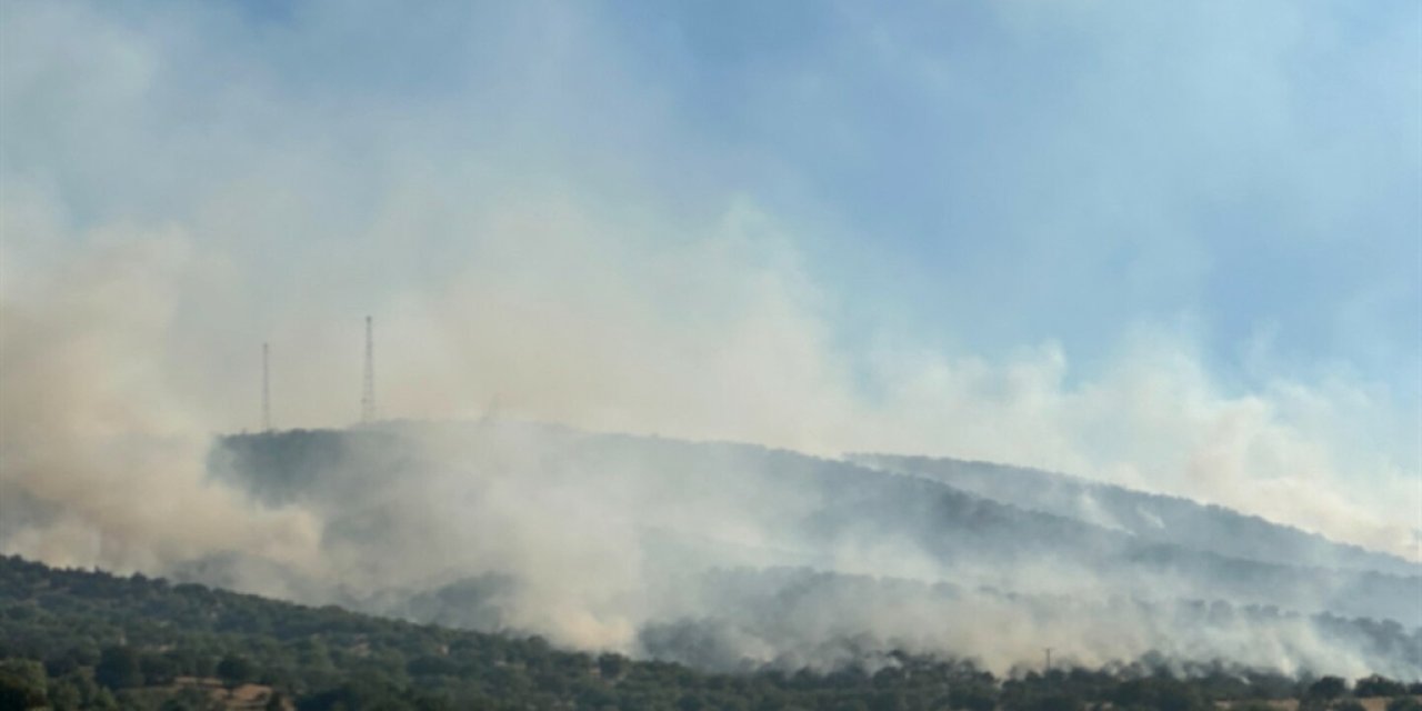 Uşak'taki yangın kontrol altına alındı: Bilanço belli oldu