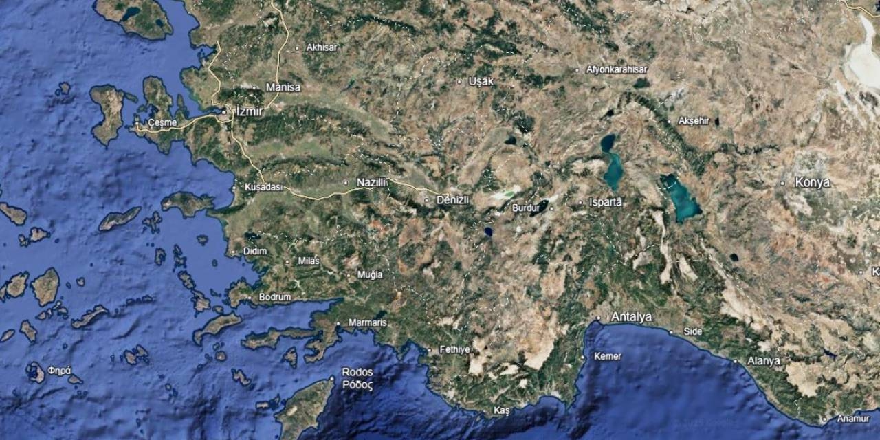 Hepsinin yeri belli: 50 bin tane kökünden sökülecek