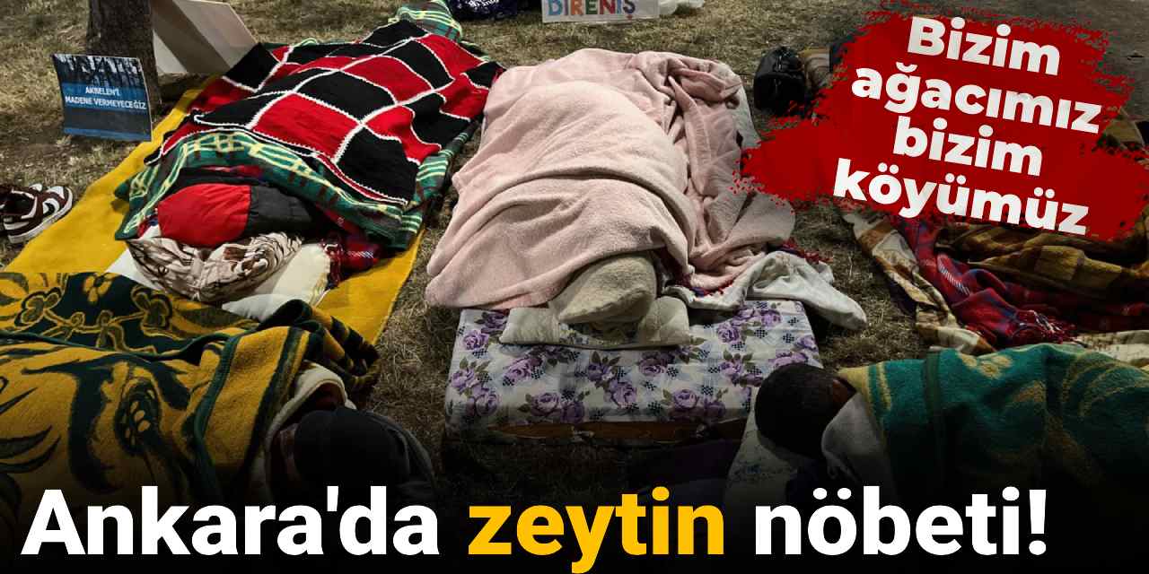 Ankara'da zeytin nöbeti: Geceyi parkta geçirdiler!