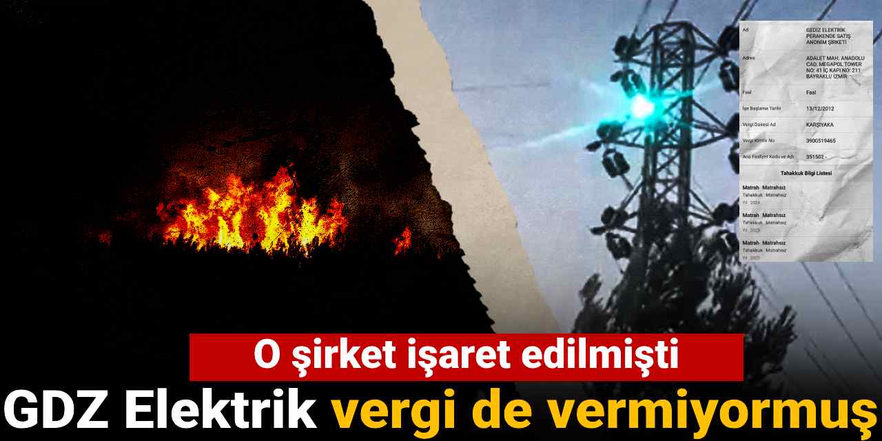 İzmir yangınlarında o şirket işaret edilmişti: GDZ Elektrik vergi de vermiyormuş