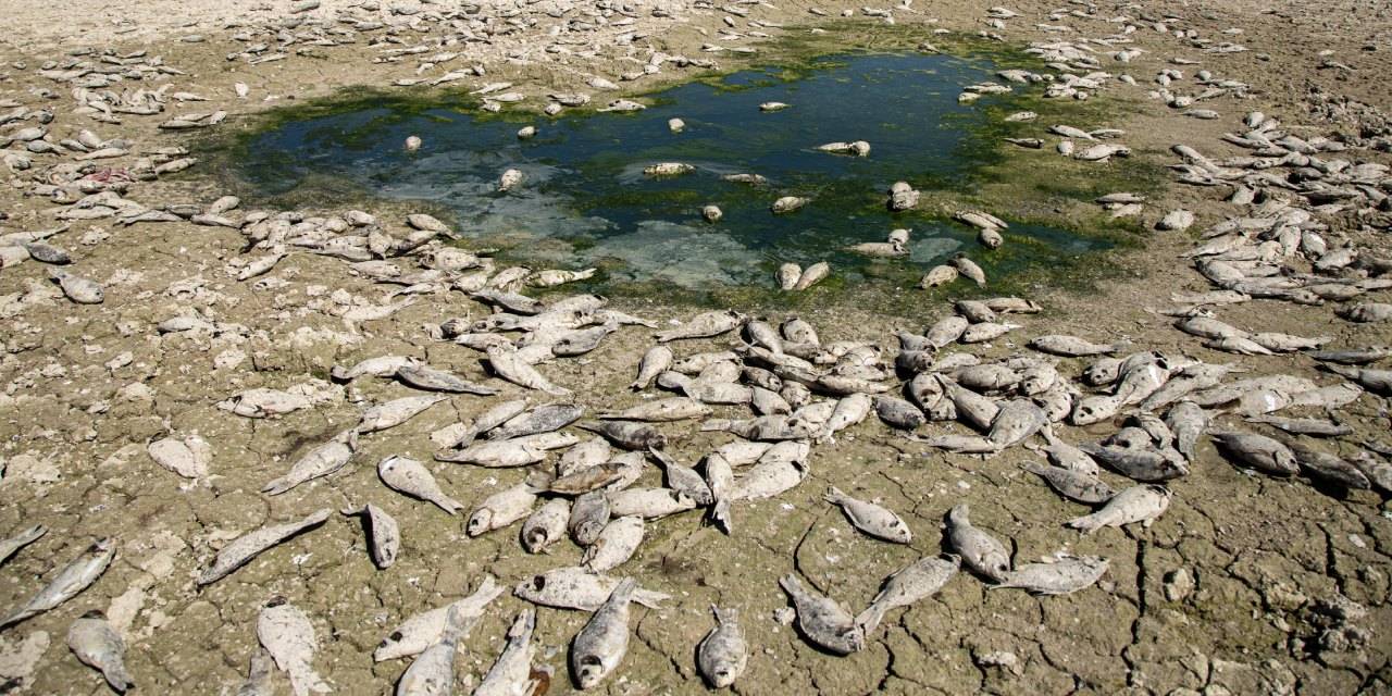 Bu görüntüler bir kıyamet filminden değil! Hepsi gerçek