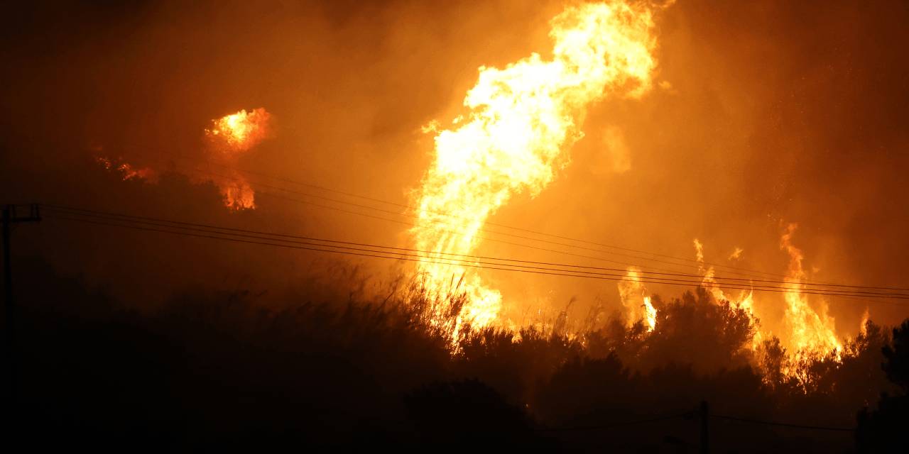 İşte orman yangınlarının acı bilançosu