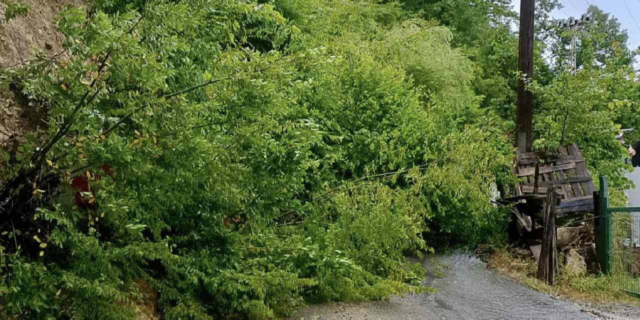 Samsun'da heyelan: Duvar yıkıldı, ağaç devrildi!