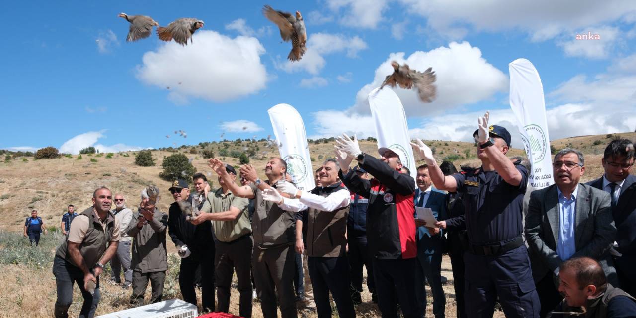 216 bini birden araziye çıktı! Meydan KKKA ordusuna kalmıştı