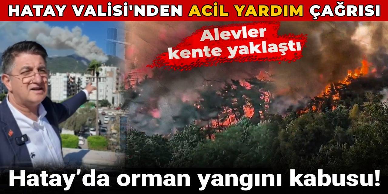 Hatay’da orman yangını kabusu: Alevler kasabaya yaklaştı