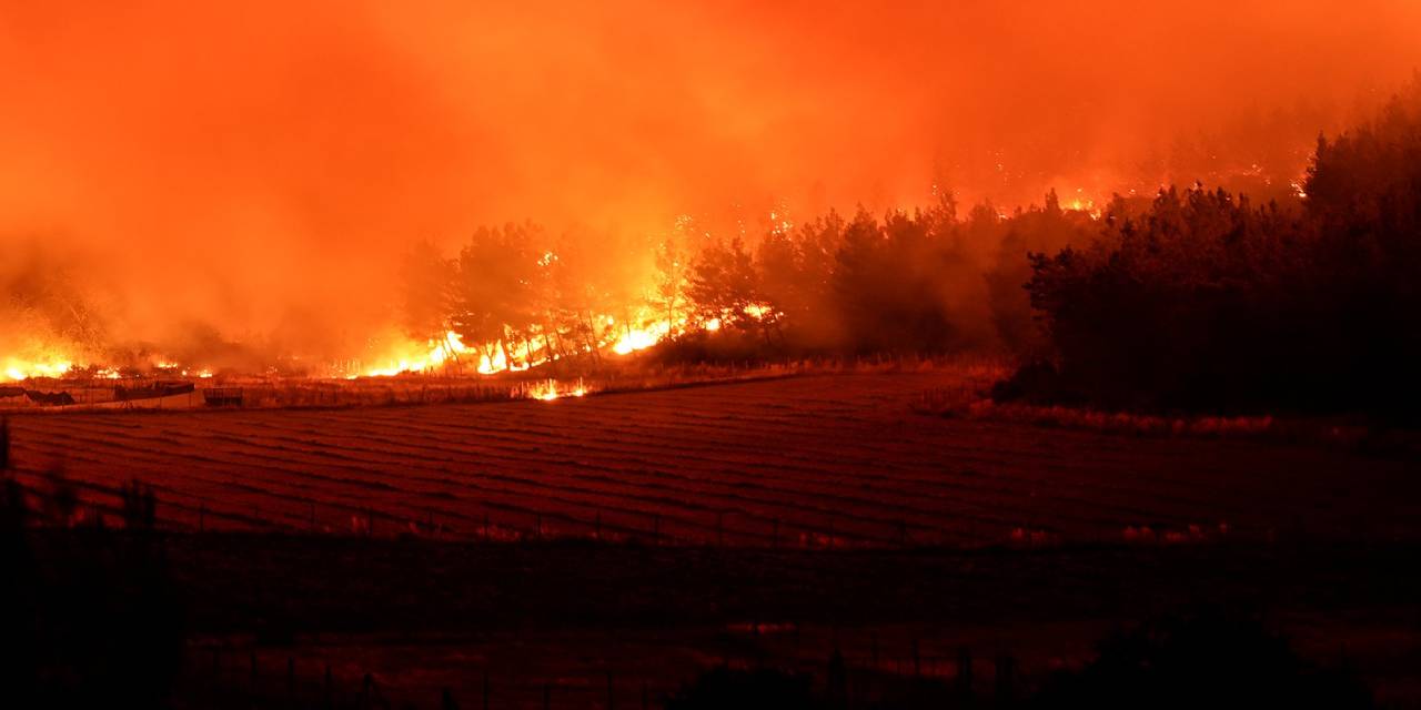 SON DAKİKA | Orman yangınlarında 10 tutuklama