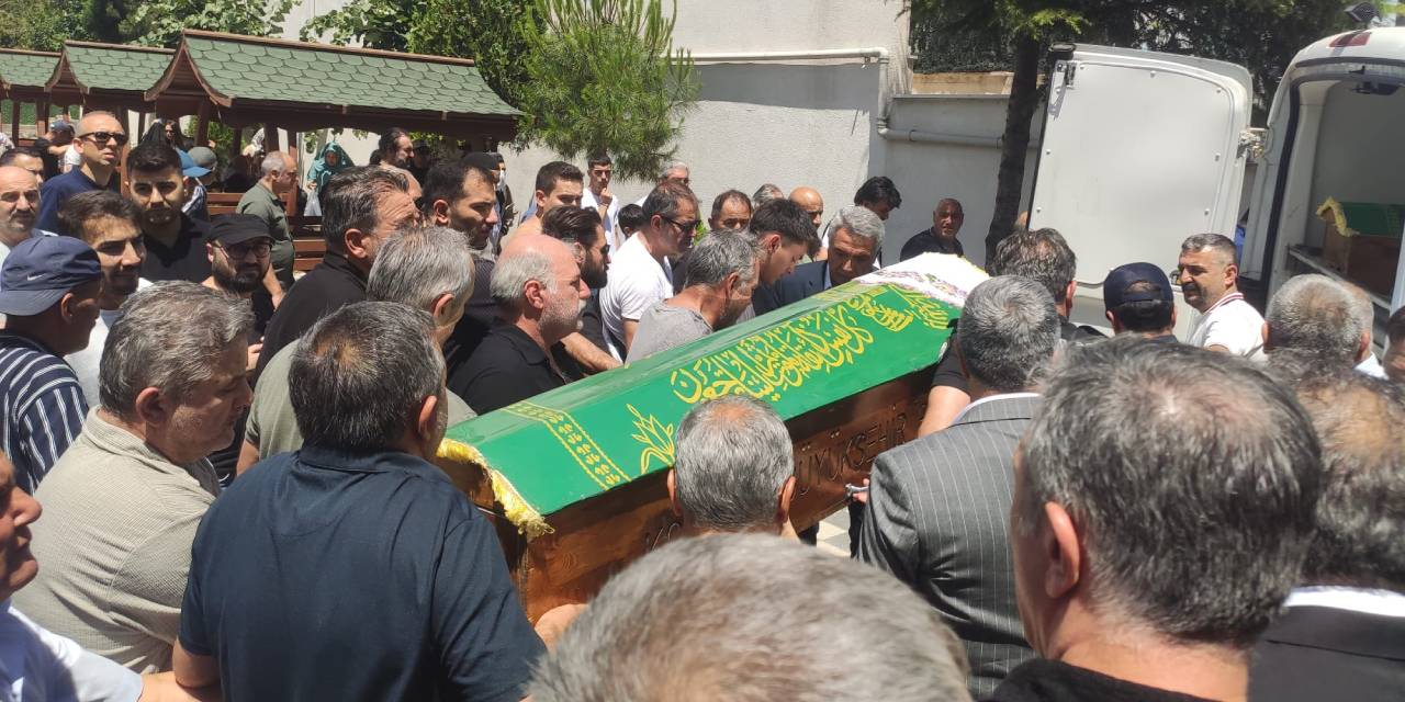 102 yıllık çınar toprağa verildi