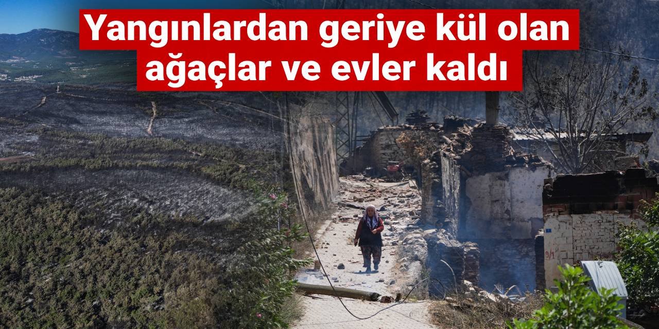 Yangınlardan geriye kül olan ağaçlar ve evler kaldı