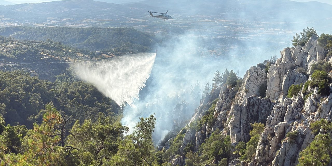 Orman yangını kontrol altına alındı: Çok büyük kaybımız var