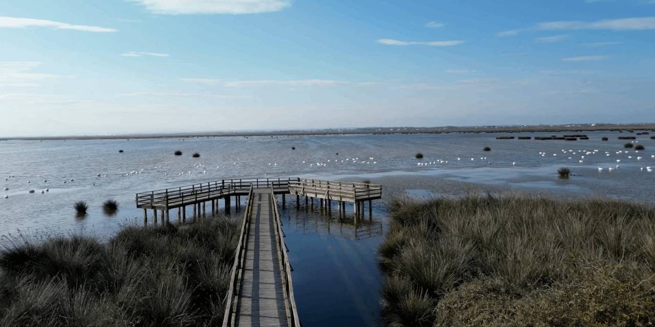 Dünya kritik eşiğe yaklaşıyor: Su ve karbon ayak izi hayatımıza girecek!