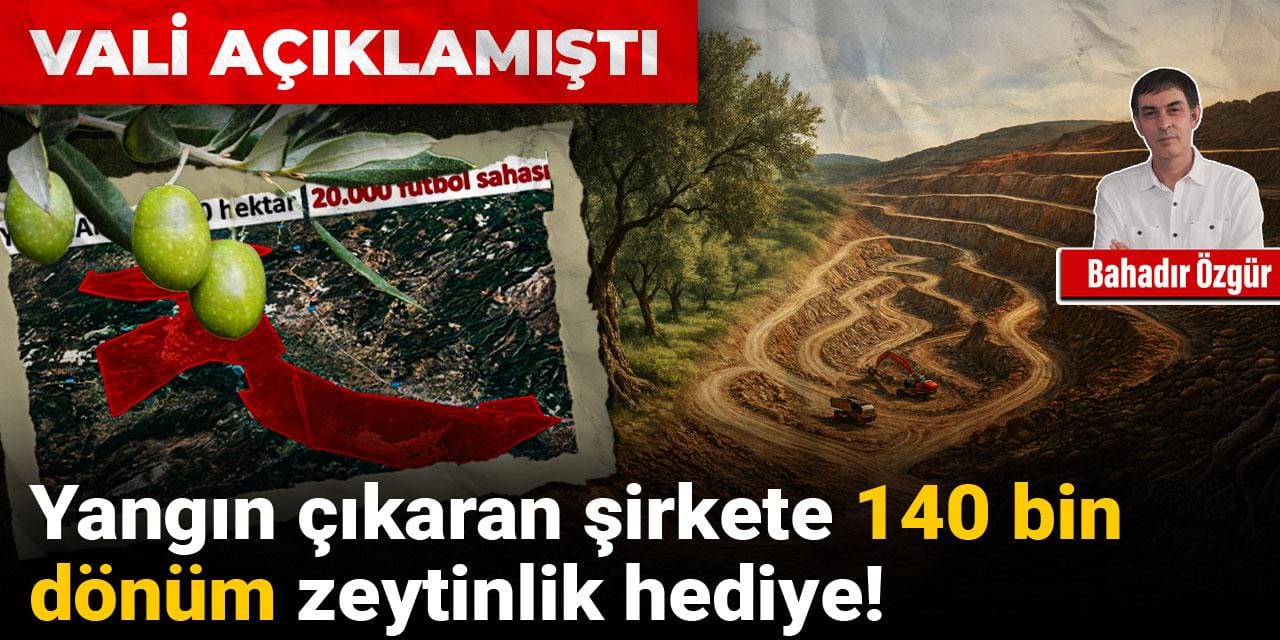 Vali açıklamıştı! Yangın çıkaran şirkete 140 bin dönüm zeytinlik hediye