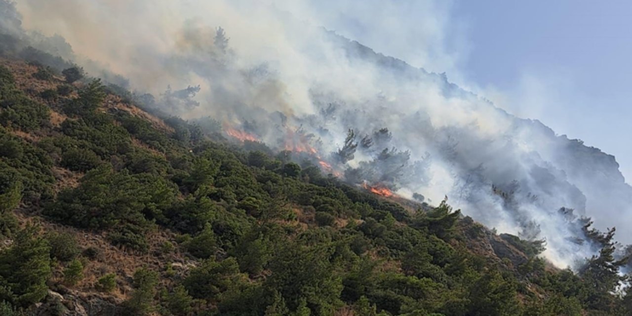 Muğla ve Manisa'daki iki yangın tamamen kontrol altında