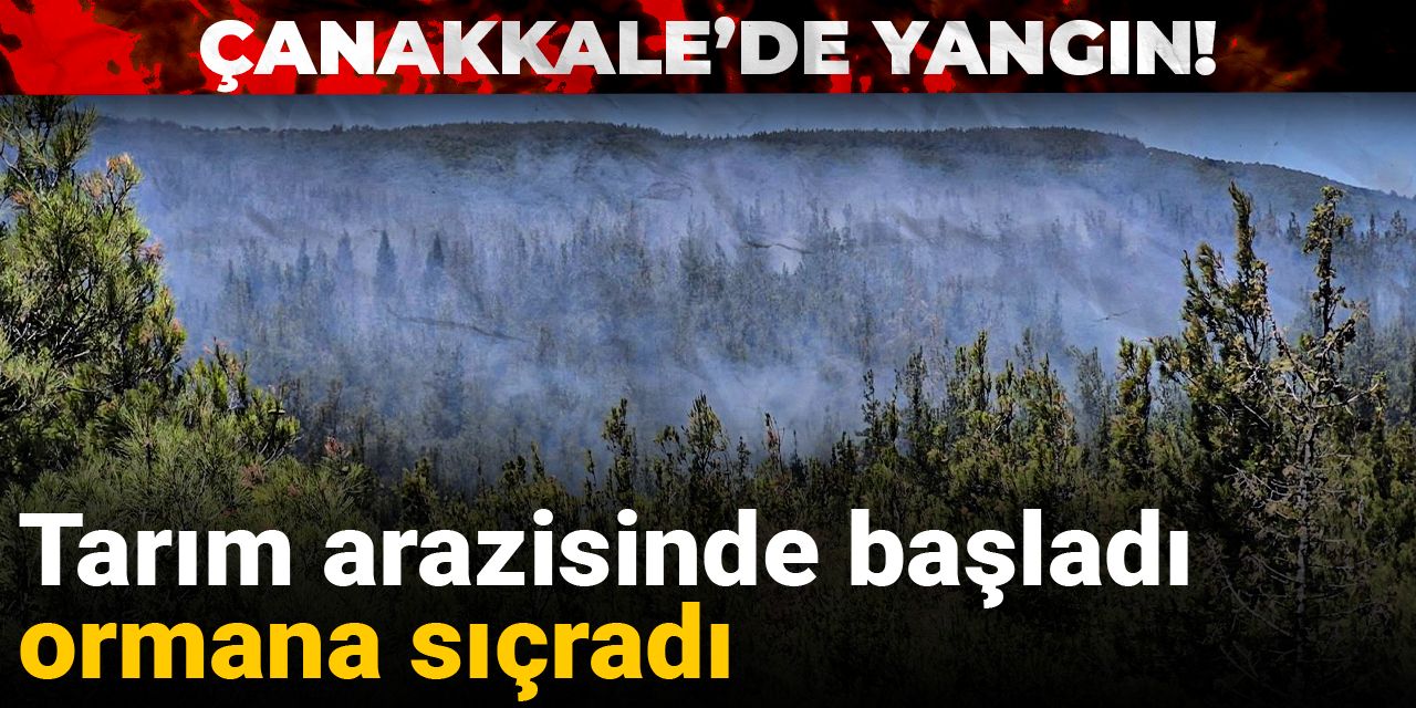 Çanakkale’de yangın! Tarım arazisinde başladı, ormana sıçradı