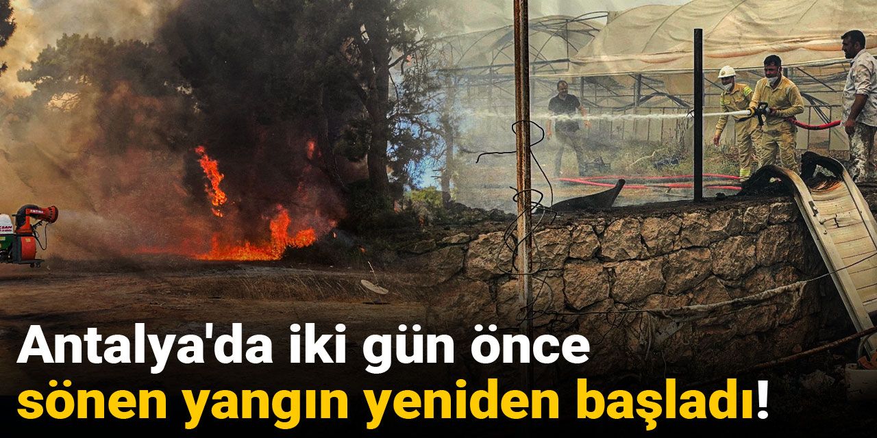 Antalya'da iki gün önce sönen yangın yeniden başladı! Turistler de yardıma koştu