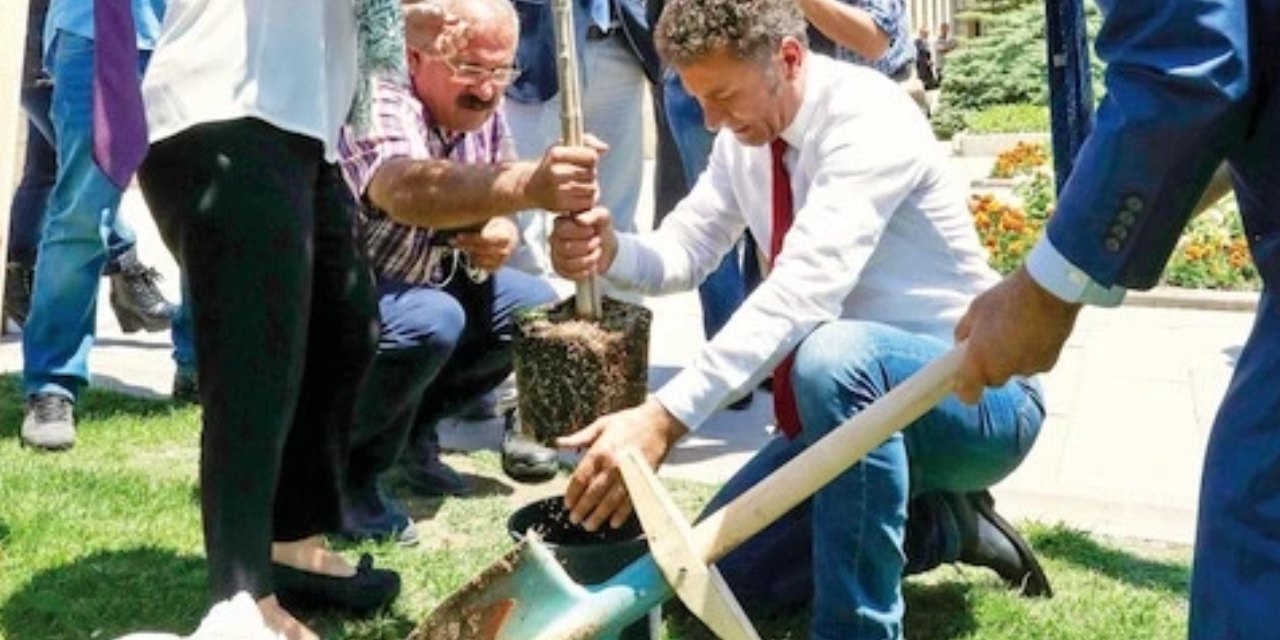 Meclis'e 8 sene önce dikilen zeytin ağacı söküldü